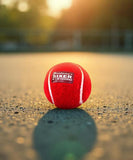 Sixer Cricket Heavy Weight Tennis Balls, Red, Pack of 12