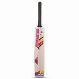 Sppartos Bira Full Size Kashmir Willow Cricket Bat (Size SH, Red Design)