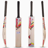 Sppartos Bira Full Size Kashmir Willow Cricket Bat (Size SH, Red Design)