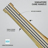 Sppartos Platinum Pro Kashmir Willow Cricket Bat with Singapore Full Cane Handle for Leather Ball Play