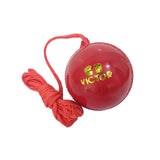 Victor Practice Cricket Hanging and Knocking Ball (Pack of 1)