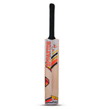 Sppartos Tuborg 2024 New Design Youth Size Kashmir Willow Cricket Bat