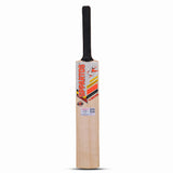 Sppartos Tuborg 2024 New Design Youth Size Kashmir Willow Cricket Bat