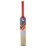 Buy Sppartos Tuborg Kashmir Willow Cricket bat for online at lowest price