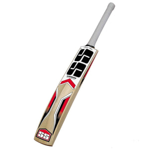 SS Master Kashmir Willow Cricket Bat, Size 6
